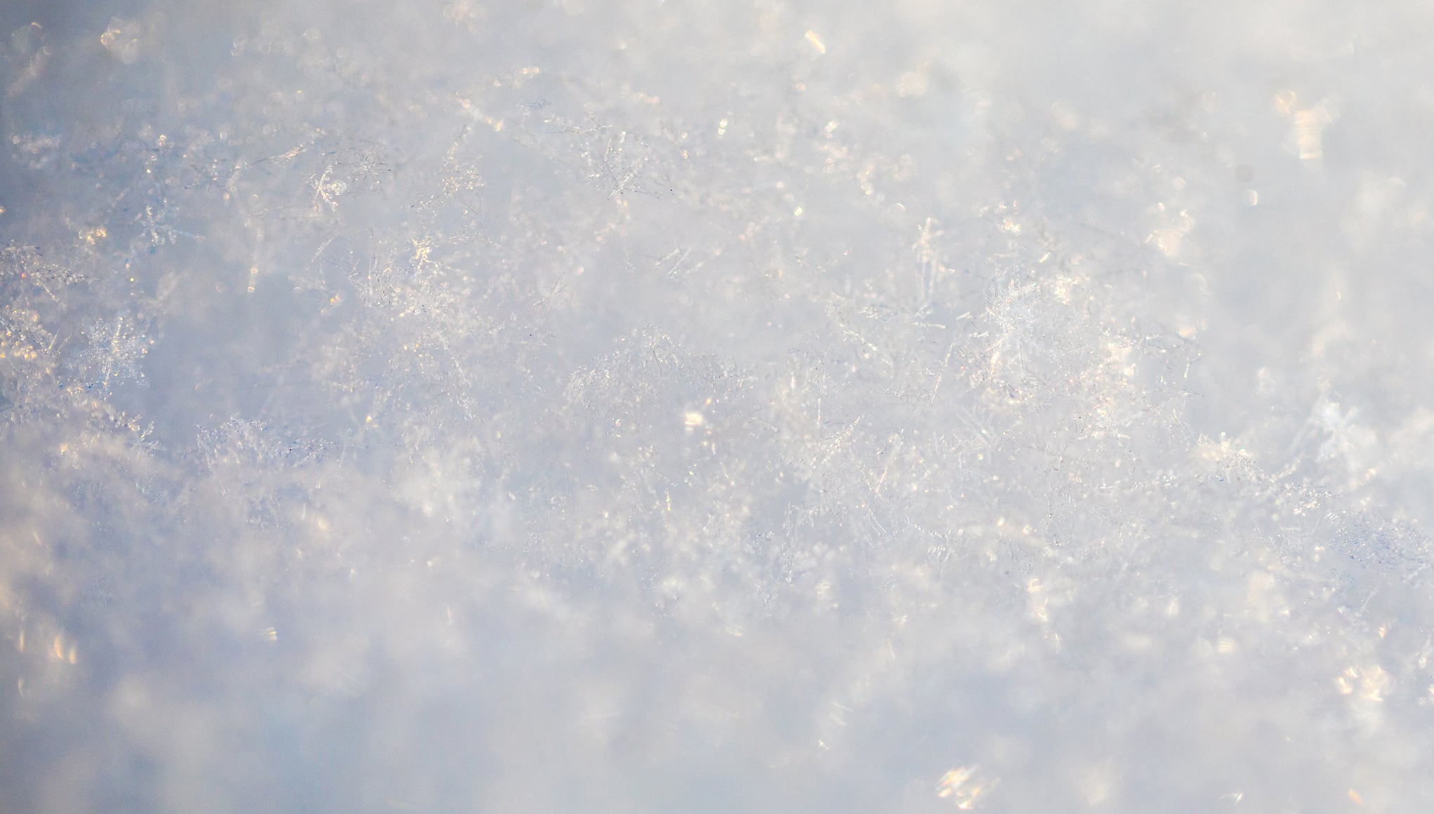 Cold
