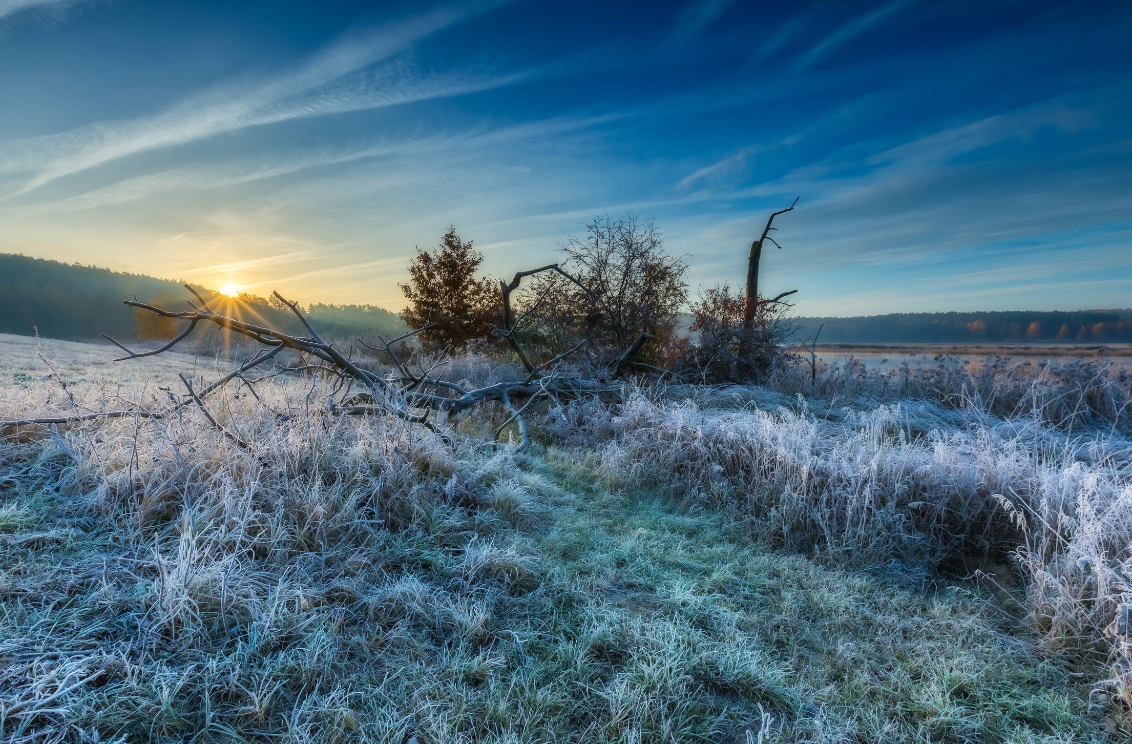 Autumnal Cold Morning